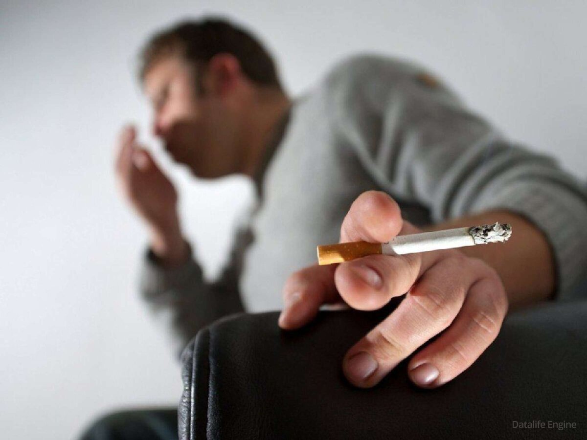 Какие сигареты купить чтобы не было кашля?